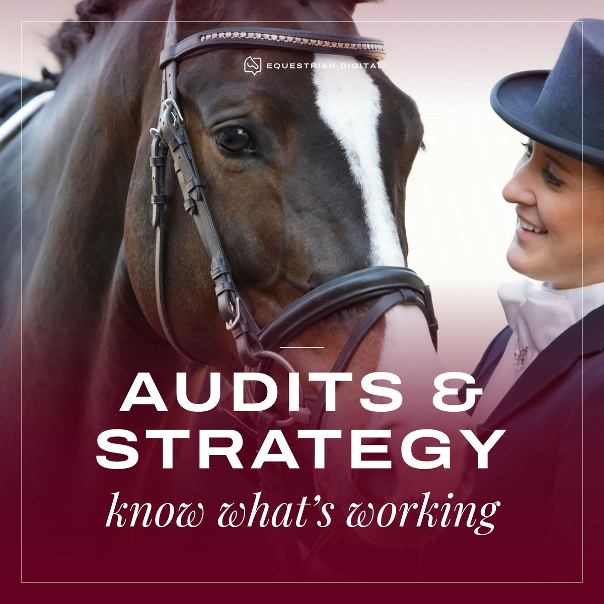 Audits & Strategy
