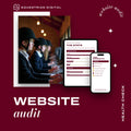 Website Audit