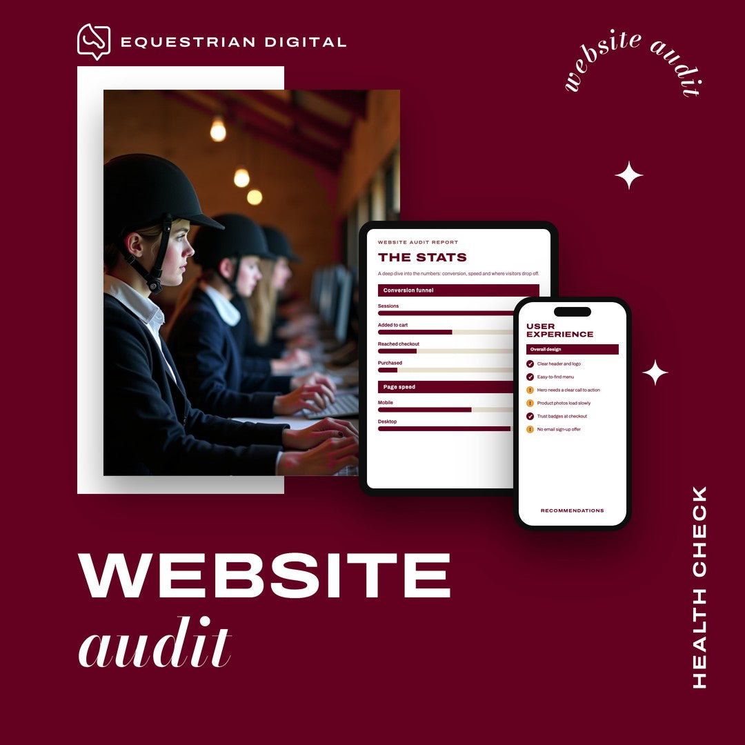 Website Audit